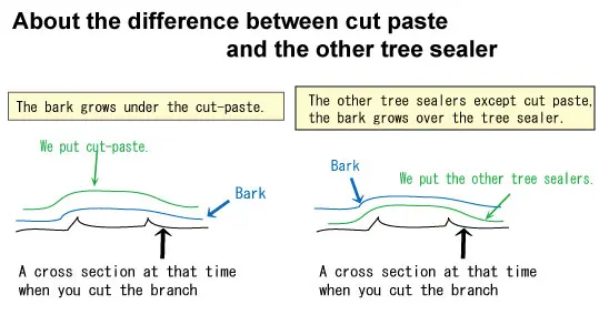 Cut Paste (w/ hormone) CB Tools